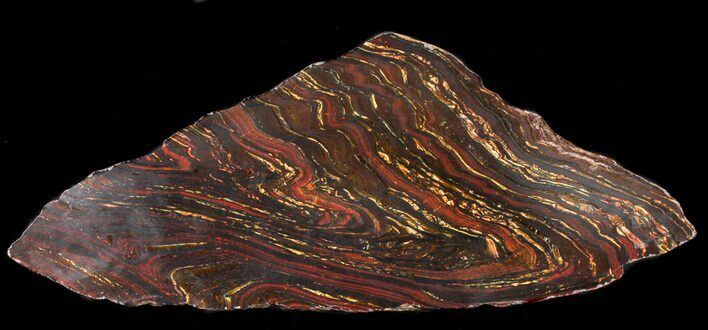 Polished Tiger Iron Stromatolite - ( Billion Years) #38913